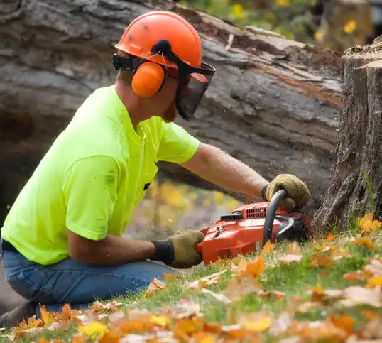 tree services Granville South